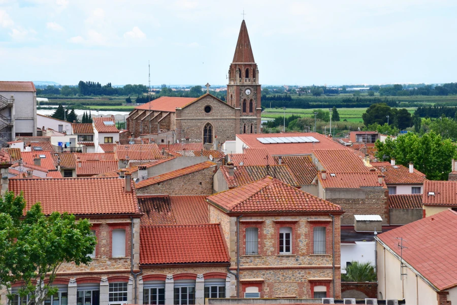 Création site internet à Pia – Digitallexs développeur web Pyrénées-Orientales