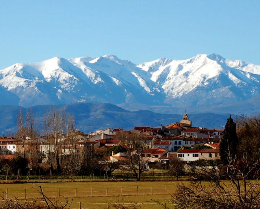 Création site internet à Canohès – Digitallexs développeur web Pyrénées-Orientales