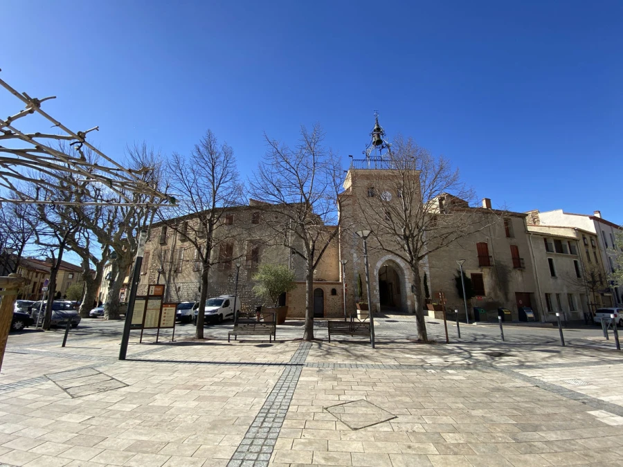 Création site internet à Pézilla-la-Rivière – Digitallexs développeur web Pyrénées-Orientales